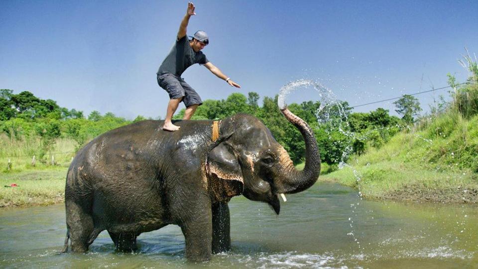 Hotel Royal Safari Chitwan Ngoại thất bức ảnh